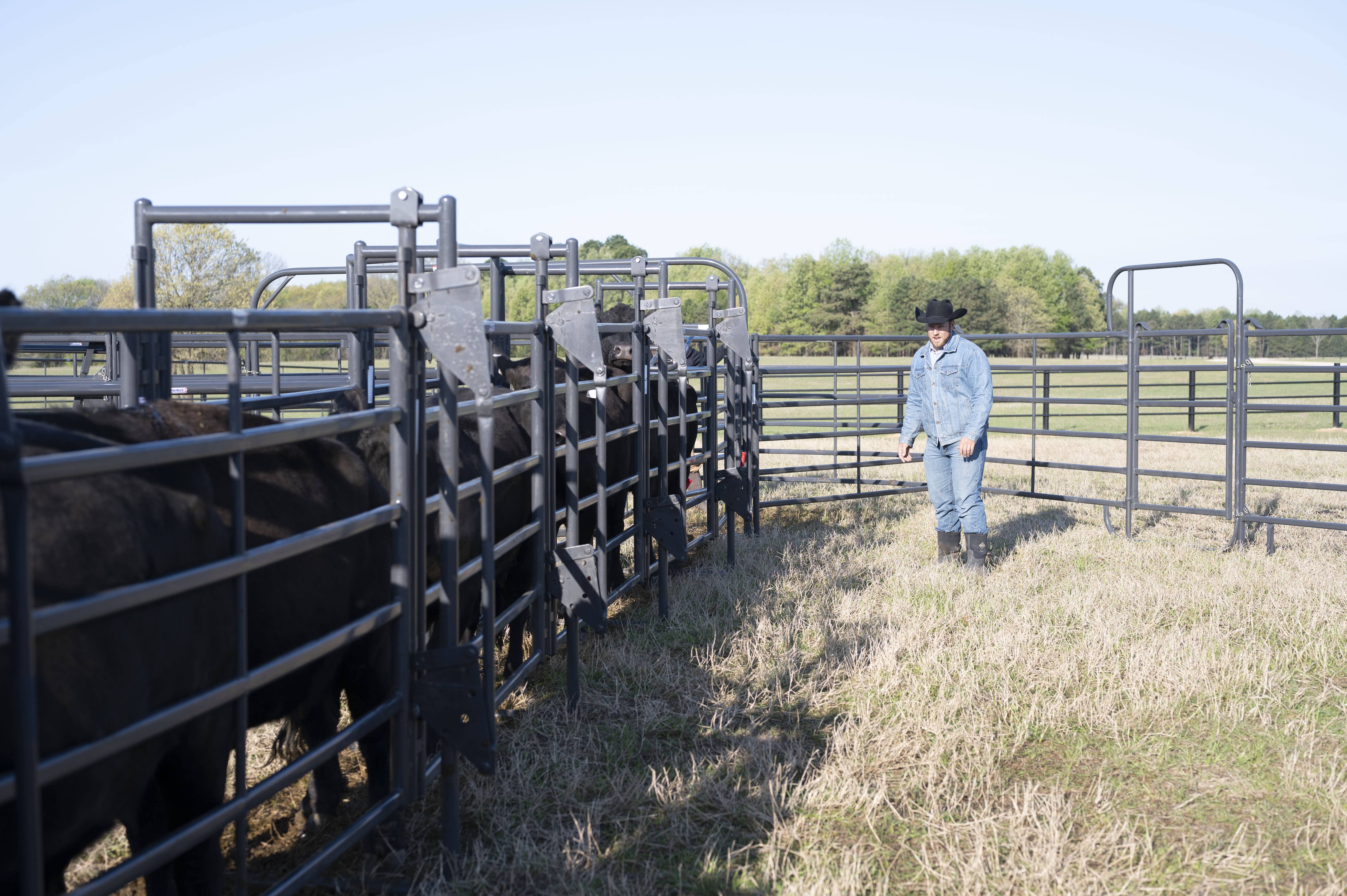 Premier System Adjustable Alley 17.jpg